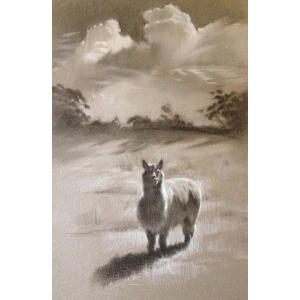 Alpaca, charcoal and pastel